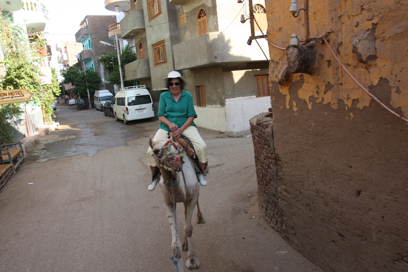 Camel Riding