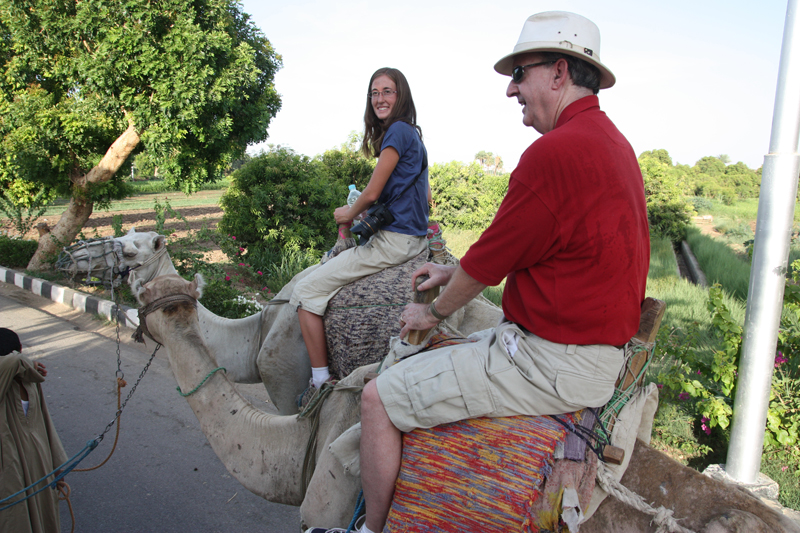 Camels